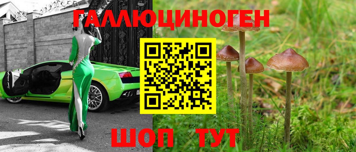 Галлюциногенные грибы Cubensis  Вход с VPN  Ростов Великий 